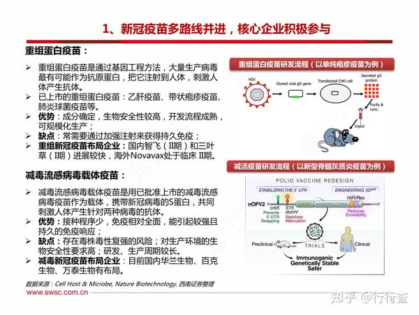 新冠疫苗，早期药物研发历程、影响及历史背景解析