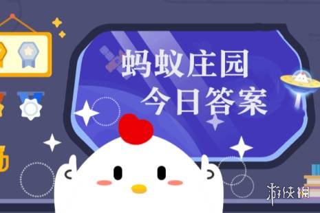 蚂蚁庄园今日答案揭秘，探寻智慧与勤劳的先行者之路