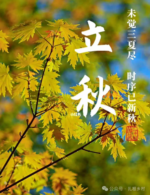 机构设置 第21页